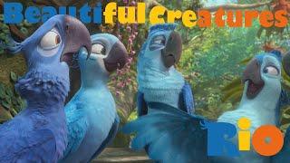 Rio 2 - Beautiful Creatures Song (Русская Версия) 4K