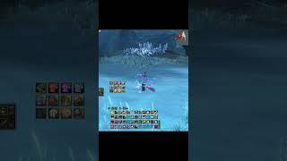 funzone42 ПРО НОВЫХ ТАНКОВ В Lineage 2 Main #lineage2 #lineage #л2 #l2