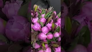 40 peonies