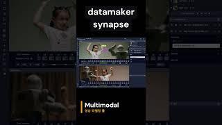 datamaker synapse 동영상 라벨링 툴_multimodal