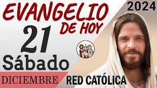 Evangelio de Hoy Sabado 21 de Diciembre de 2024 | REFLEXIÓN | Red Catolica