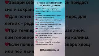 Мудрые советы наших предков о здоровье #полезныесоветы