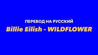 Billie Eilish - WILDFLOWER / Перевод на русский