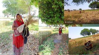 Indian desi life | village life blog | desi Indian village | Bundelkhand village life | Bundeli Film