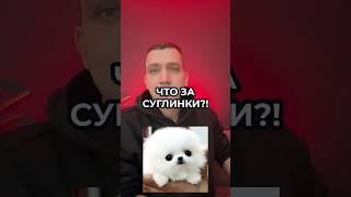 КТО ТАКИЕ СУГЛИНКИ. Что за мем? И причем тут Клеопатра?