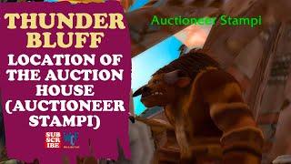 Where is the auction house in Thunder Bluff? | Auctioneer Stampi | WOW World of Warcraft