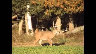 Jordan Hoffman (big hunt 2012)