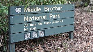 Yowie / Bigfoot Sighting (Audio Report #111) at Middle Brother N.P., New South Wales