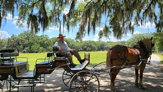  [4K] MIDDLETON PLACE PLANTATION in Charleston, SC/ Horse-drawn carriage ride with Mr. Bob