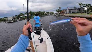 HOT Tidal River BITE Fishing - Jack Crevalle and Snook Fishing Florida