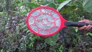 Killing hundreds of mosquitoes in minutes.Keep the speakers on !  Bug Zapper Racket in Action