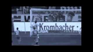 Vedad Ibisevic (VfB Stuttgart) Goals 2013/14