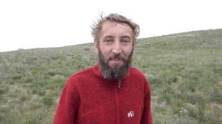 Петькино Утро