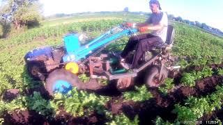 Chopping potatoes with a motorbike.