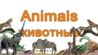 Животные на английском языке.  English Vocabulary - Animals