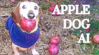 APPLE DOG AI - edit