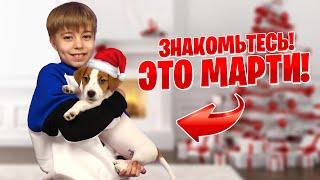 ВЛОГ: НАШ НОВЫЙ ЧЛЕН СЕМЬИ! Лучший подарок на НОВЫЙ ГОД 2021!