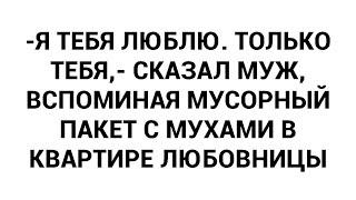 -Я тебя люблю. Только тебя,- сказал муж, вспоминая мусорный пакет с мухами в квартире любовницы