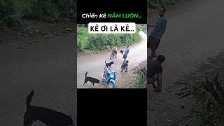 Cú va chạm bất ngờ khiến 'thủ phạm' nằm luôn...#cameragiaothong #tinhhuonggiaothong #antoangiaothong