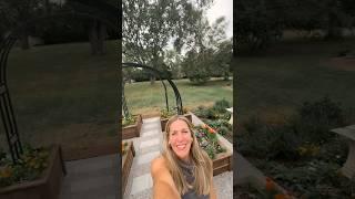 Watch me transform this yard from useless grass to beautiful garden#garden #transformation #lawn