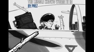 The missile knows where it is but it's a Prez from Project Wingman