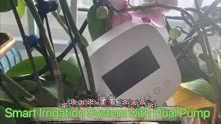 Smart Watering Irrigation System with Dual Pump for Added Convenience