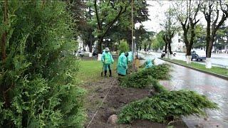 Сотрудники благоустройства г.Цхинвал продолжают облагораживать парковые зоны и скверы столицы