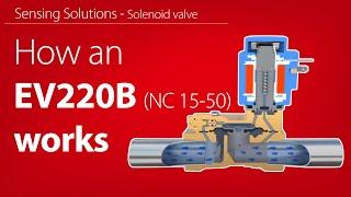 How an EV220B NC 15–50 indirect servo-operated solenoid valve works | Working animation