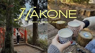 tokyo to hakone japan travel vlog 2024 | 2 days hakone freepass, private in-room onsen