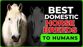 The 10 Strongest Domestic Horse Breeds On Earth.