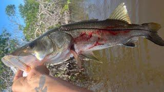 Samtastic Saltwater Fishing Adventures. Snook Haven.