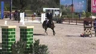 Arrogant un Prince (by Arko) Vilamoura 5 Year old class