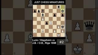 Lurie and Wageheim beat J. B. and O. B. with a double check #chess