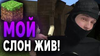 ФЕОФИЛОМ ВСТРТИЛ СЛОНА В МАЙНКРАФТЕ / НАРЕЗКА СО СТРИМА #feofilov #топ #тренды #феофилов