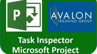 Task Inspector for Project Professional