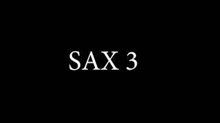 SAX 3