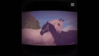 Video game lover!️ #horses #sso #edit