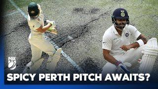 'I think the Aussies will clean up India in Perth within 4 days'  I Fox Cricket