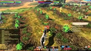 Archeage - Giant Rabbit