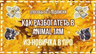 КАК РАЗБОГАТЕТЬ В ИГРЕ Animal Jam? / как стать успешным игроком? 