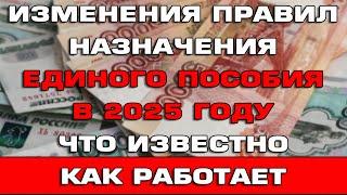 Изменения правил назначения Единого пособия в 2025 году Что известно Как работает