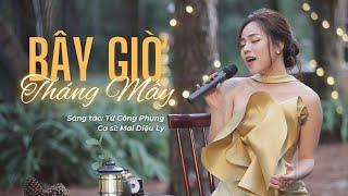 Bây Giờ Tháng Mấy - Mai Diệu Ly | Nhớ áo em đẹp màu thơ, môi tràn đầy ước mơ...