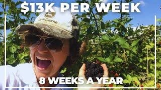 The Anti-Farmers Market: How 5 Acres Generated $151,000