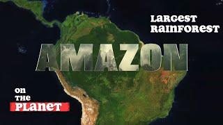 The Amazon Rainforest - Origin and Destiny