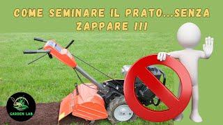 Come seminare il prato senza zappare: la trasemina del prato | guida completa