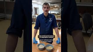 Чем отличается жмых от кедрового ореха?
