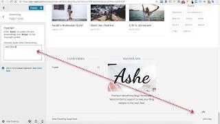 (Old) How to setup a Copyright Text in Ashe Free Wordpress Theme