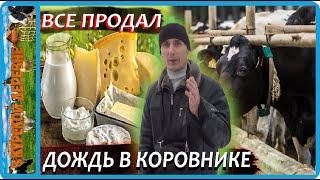 как как продаю молочку в молочный день, последствия морозов в коровнике