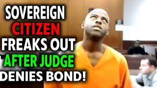 Sovereign Citizen LOSES IT After Judge DENIES Bond – SMASHES Head on Table in Meltdown!"