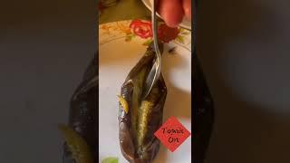 VAGINA VAGINA (POQUE POQUE) ILOKANO DISH #shorts #short #shortsvideo #shortvideo #ilocano